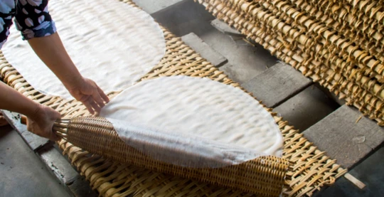Visite à terre d'un atelier pour découvrir la fabrication du riz