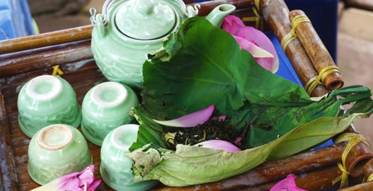 Dégustation de thé vietnamien