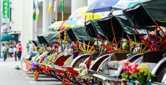 Visite du palais royal en cyclo