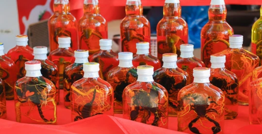 Visite du village du whisky