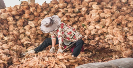 Visit to local manufacturers