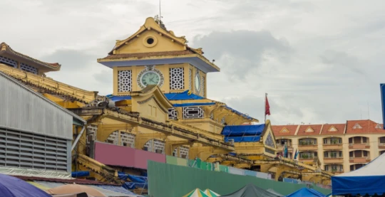 Visite du marché de Cholon