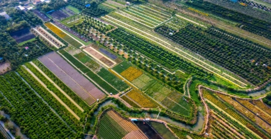 Visite de la ville de Sa dec