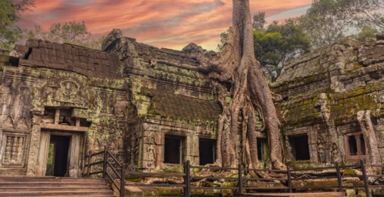 Visite de Ta Prohm