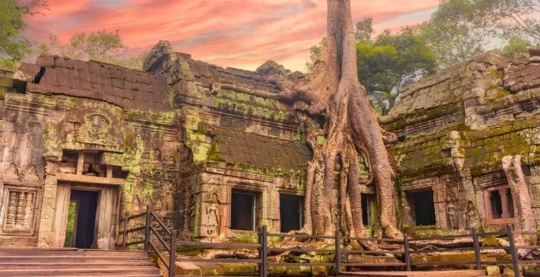 Visita a Ta Prohm