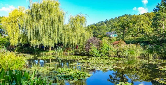 Visit to the Claude Monet Foundation