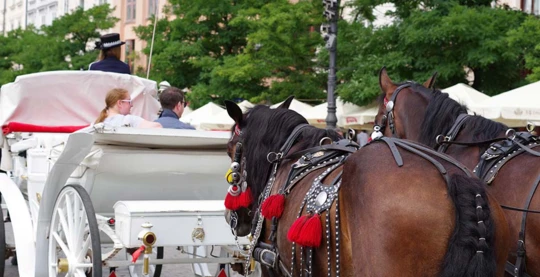 Paseo en coche de caballos por Vienne