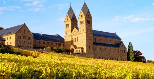 Randonnée dans le vignoble de Rüdesheim