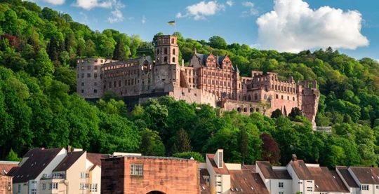 Visite guidée à Heidelberg