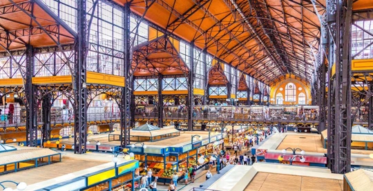 Visite el mercado cubierto de Budapest