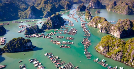 A la découverte de Viet Hai, village de pêcheurs