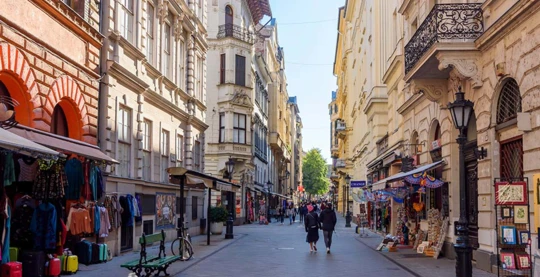 Guided tour of Budapest