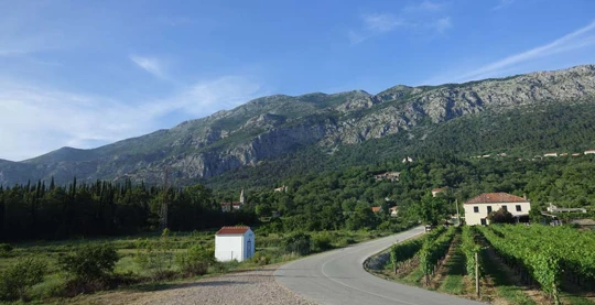 Visit to the Crvik winery