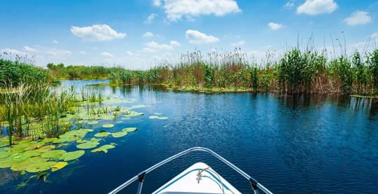Donaudelta mit dem Schnellboot
