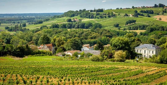 Helicopter flight over the Médoc and wine tasting
