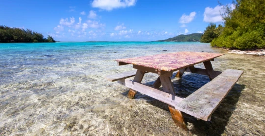 Private Motu Picnic and Snorkeling Experience