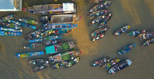 Visite du marché flottant de Can Tho