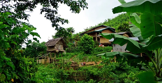 Breve caminata por el bosque hasta una aldea local