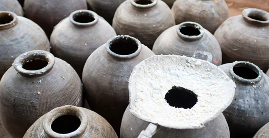 Visita a una destilería tradicional