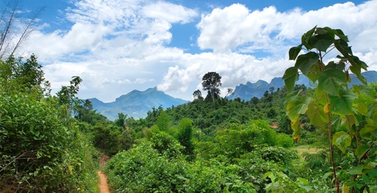 Découverte de la nature sur des sentiers de randonnée faciles