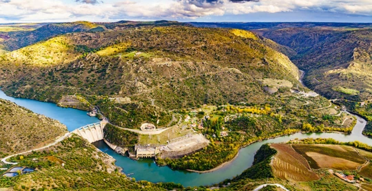 La falaise aux rapaces