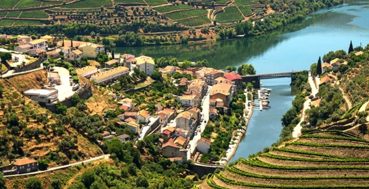 Randonnée dans le vignoble portugais