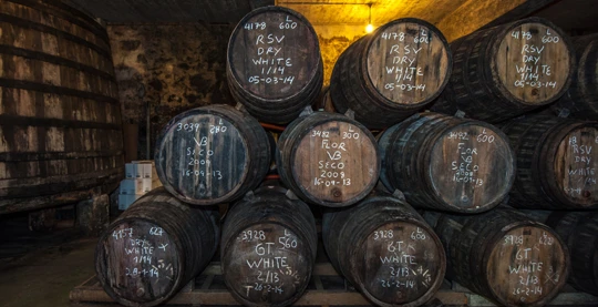 Visite d’une bodega et dégustation de vins
