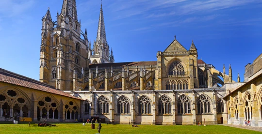 Guided tour of Bayonne and a salting workshop