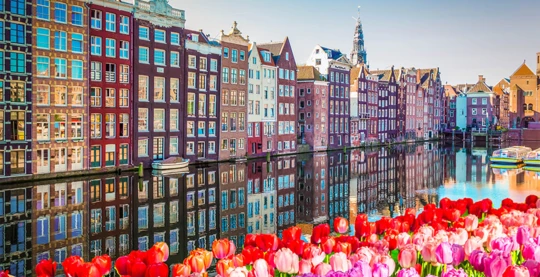 Panoramic tour of Amsterdam