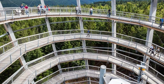 Le sentier des cimes de la Forêt Noire