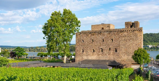 Visit of the Brömser Castle