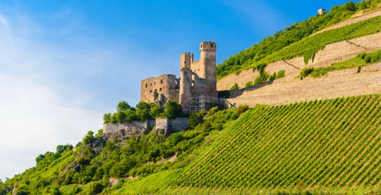 Visit of the ruins of Ehrenfels Castle