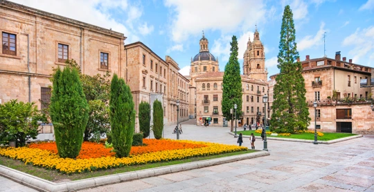 Full day excursion to Salamanca with lunch