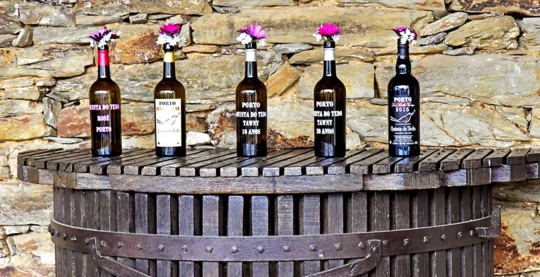 Excursion to Quinta do Tedo with wine tasting