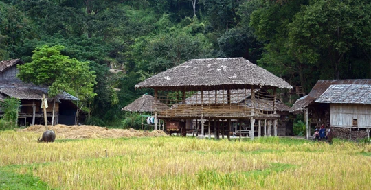 Paseo matinal por el pueblo de Ban Luang Tong