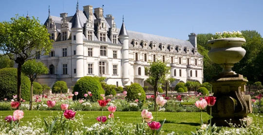 Visit the Château de Chenonceau