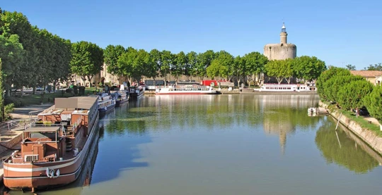 Discovering the Camargue