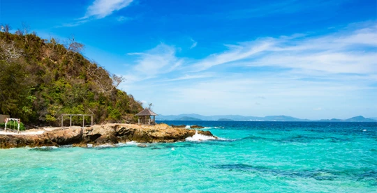 Avistamiento de delfines en la zona de Koh Maithon