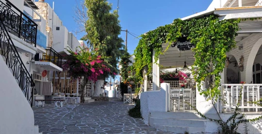 Visite de la Chora et du port de pêche à Antiparos