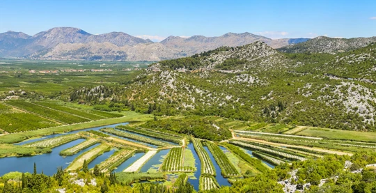 Excursion en bateau dans le delta de la Neretva