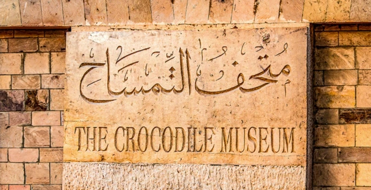 Visit of the Crocodile Museum