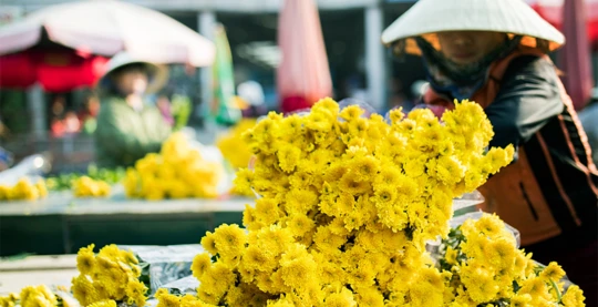 Besuch des Blumenmarktes