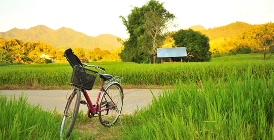 Ausflug mit dem Fahrrad