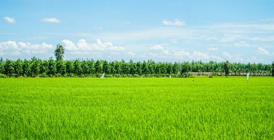 Visita del pueblo My An Hung