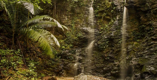 Wanderung durch den Regenwald zu den Wasserfällen