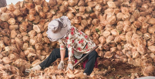 Visita di un produttore locale di caramelle al cocco da parte di "xe lam"