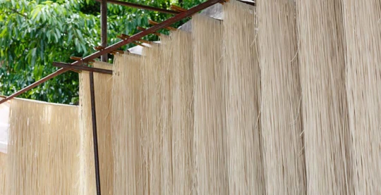 Visita di una casa di produzione di noodlema dry locale