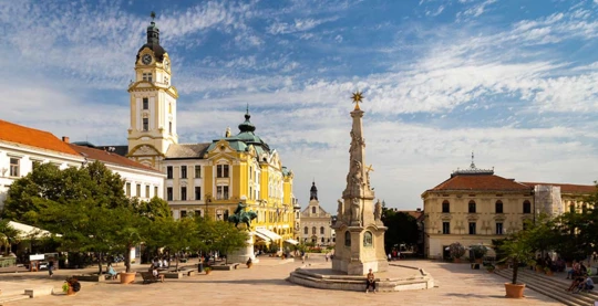 Visite guidée à Pécs