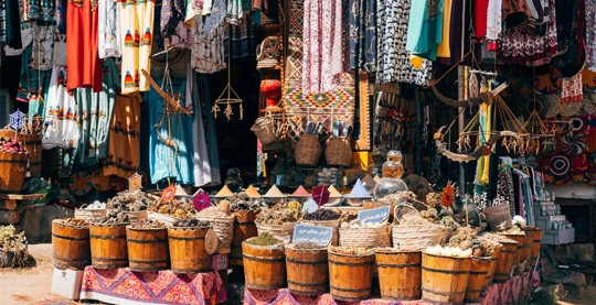 Visita alla città di Assuan