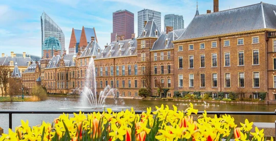 Visita dell'Aia e dei suoi cortili interni